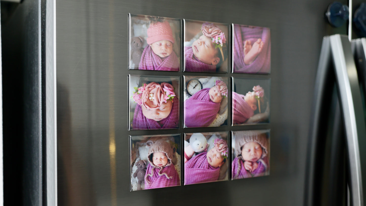 Set of 12 Photo Magnets