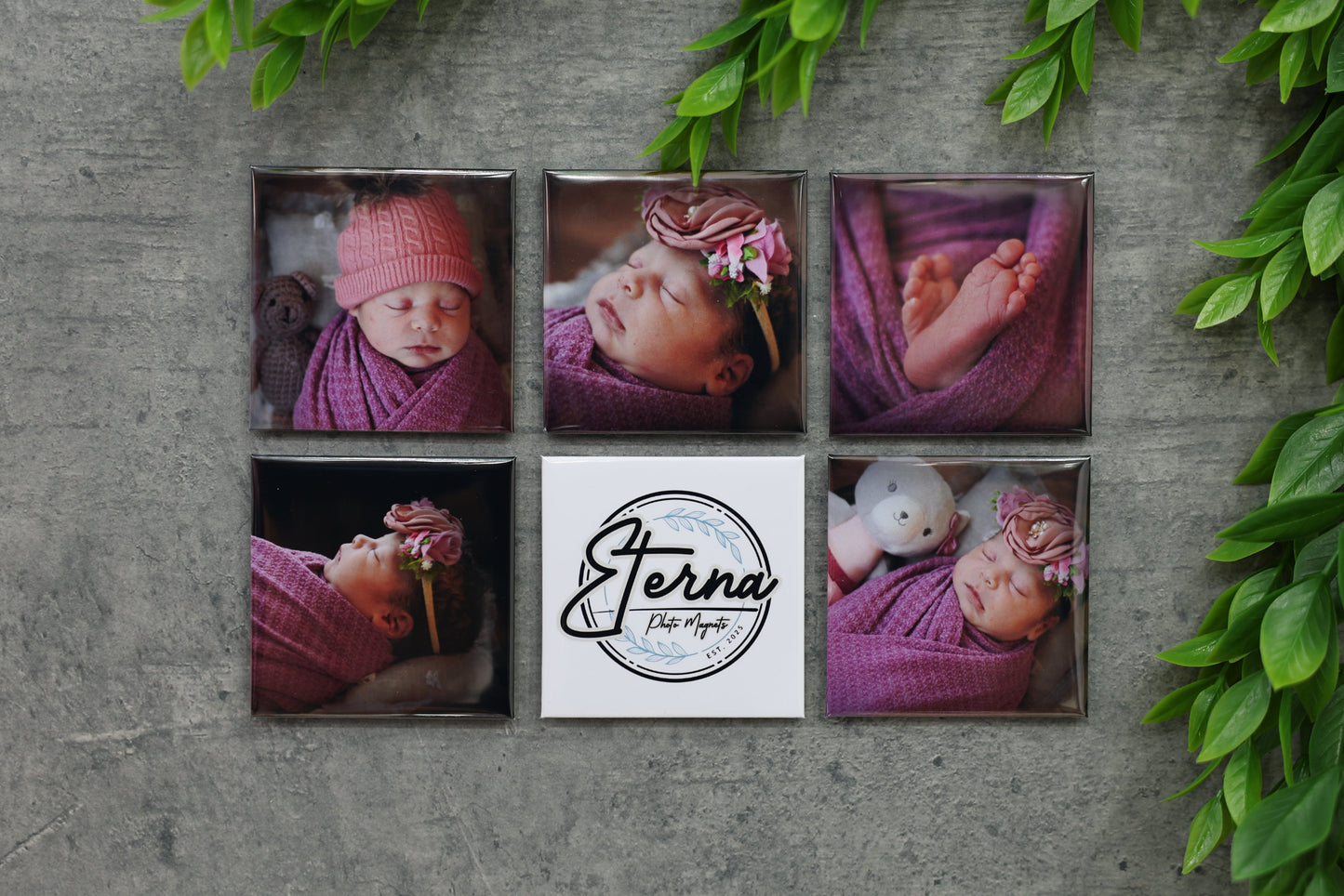 Set of 6 Photo Magnets