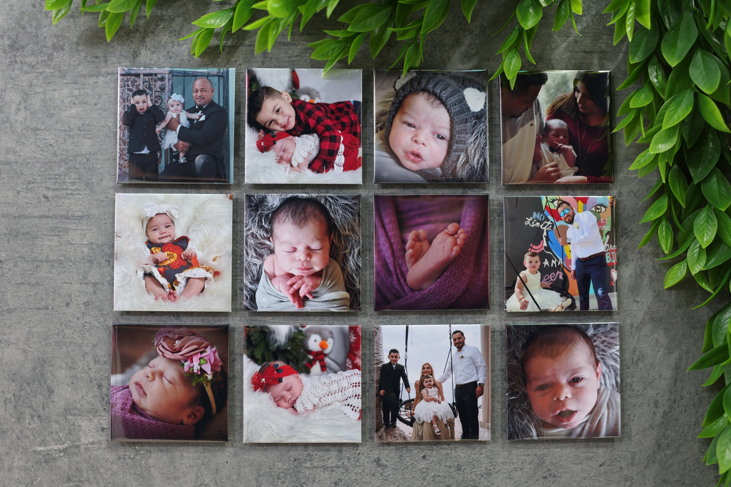 Set of 12 Photo Magnets